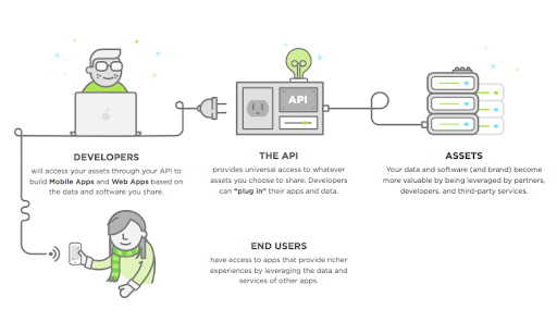 api development cycle